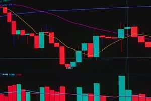 Exploring Exness Account Types: Tailoring Your Trading Experience