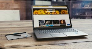 Shopify vs WordPress